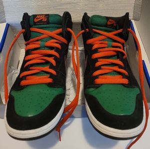 Nike "Jagermeister" Dunk Pro